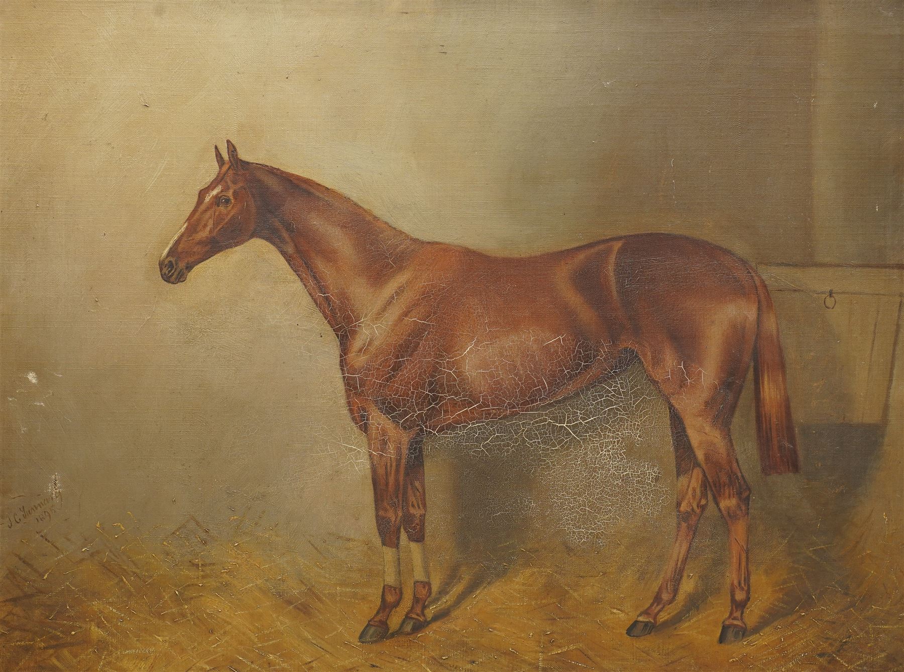 John Charles Tunnard (British 1873-1960): Portrait of a Chestnut Racehorse in Stable, oil on canvas signed and dated 1895, 47cm x 63cm