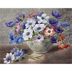 GW Dove (British Early 20th century): Still Life of 'Anemones' in a Vase, watercolour signed, titled with artists Scarborough address label verso 33cm x 42cm 