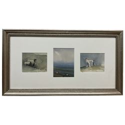 Brian Irving (British 1931-2013): Sheep in Pasture Landscape, set three watercolours framed as one unsigned max 12cm x 8cm