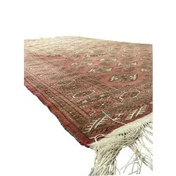Afghan Bokhara red ground rug, the field decorated with five rows of Gul motifs, guarded border decorated with lozenges and geometric pattern 