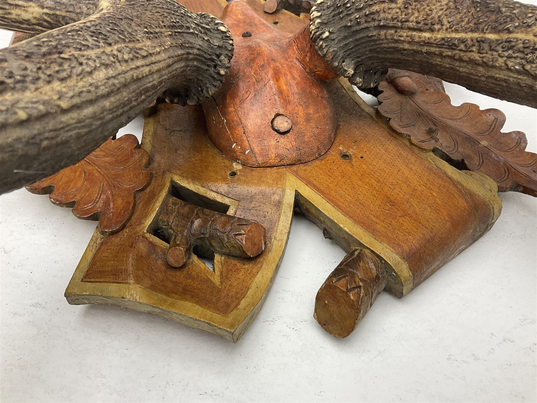 Antlers/Horns: European Royal Red Deer Antlers (Cervus elaphus hippalaphus), twelve point antlers, mounted upon a carved and pierced shield H120cm D64cm