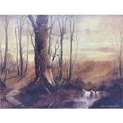 Peter M Drewett (British 1957-): 'Twilight in the Woods', oil on canvas signed, titled verso 34cm x 44cm; 'Fyvie Castle', pen and watercolour signed 38cm x 49cm (2)