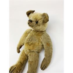Early 20th century American mohair teddy bear c1920 with wood wool filled body humped back body with jointed limbs, black boot button eyes and horizontal stitched nose and mouth H12