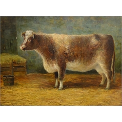  Johnson Hedley (British 1848-1914): Portrait of a Shorthorn Cow in Stable setting, oil on canvas signed 49cm x 67cm  