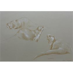 John Naylor (British 1960-): 'Otters', crayon and chalk signed titled and dated '93, 24cm x 33cm