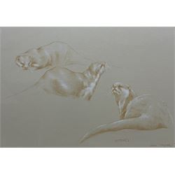John Naylor (British 1960-): 'Otters', c