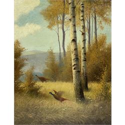 English School (20th century): Pheasants in Flight, oil on canvas signed 'Bauer' 54cm x 44cm (unframed)