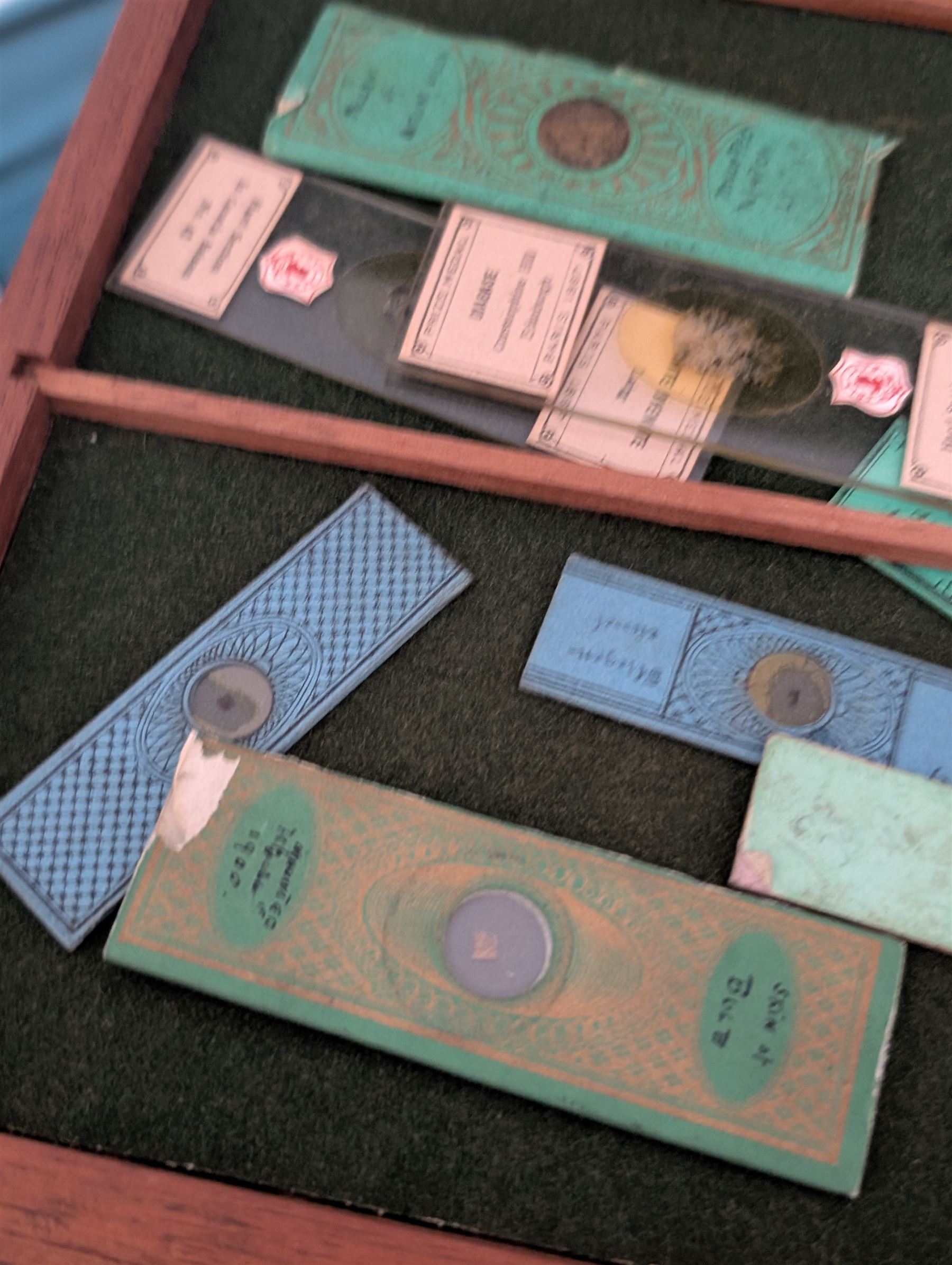 Victorian collector's specimen cabinet, containing a number of prepared microscope slides including miniature photographs, animal and human pathological, physiological and histological specimens and botanical specimens, mostly annotated in ink, the cabinet with glazed door, the drawers with bone handles and lined with green felt, owned by Dr Arthur Bristow, together with a picture of the doctor, cabinet H43cm