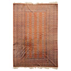 Bokhara hand-knotted carpet, terracotta ground with repeating rows of Tekke guls and geome...