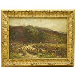 Owen Bowen (Staithes Group 1873-1967): Sheep Grazing in the Yorkshire Moors, oil on canvas signed and dated '06, 26cm x 37cm