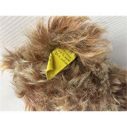 Steiff teddy bear with golden plush body, revolving head, applied eyes, vertically stitched nose and mouth and jointed limbs; button to left ear H26cm; and two other Steiff teddy bears, each with open mouth and button with tag to left ear (3)
