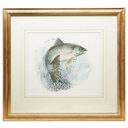 Daphne Harrison (Northern British Contemporary): Brown Trout and Rainbow Trout, pair watercolours signed 31cm x 37cm (2)