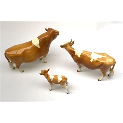 A Beswick Guernsey Bull 1451, marked Ch Sabrina's Sir Richmond 14th, Guernsey Cow, and Guernsey Calf, each with printed mark beneath. 