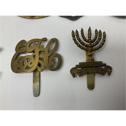 Seventeen cap badges including Expeditionary Forces Canteen, Machine Gun Corps, Tank Regiment, Jewish Battalions, Ordnance Corps, Medical Corps, Cyclist Corps, RFC & RAF, Veterinary Corps, Drake battalion etc (17)