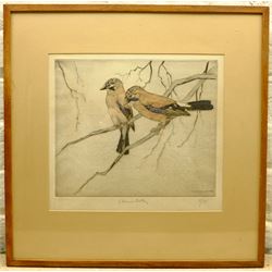 George Vernon Stokes (British 1873-1954): Jay Birds on a Branch, limited edition coloured etching signed and numbered 11/75 in pencil 28cm x 31cm
