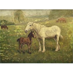 R Gledstone (British early 20th century): Horse and Foal, oil on canvas unsigned, attribut...