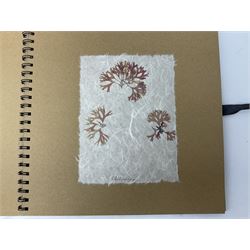 French Contemporary: 'La Flore Marine de la Manche', approx. 30 marine and botanical prints on handmade paper loose mounted in an album, each 20cm x 15cm