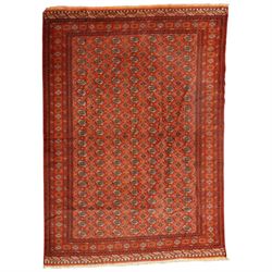 Turkmen hand-knotted carpet, madder red field, with an all-over design of row of Tekke gul...