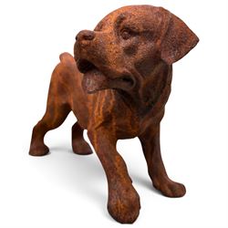 Pair of weathered cast iron garden ornaments modelled as playful Rottweiler puppies, in rusted finish