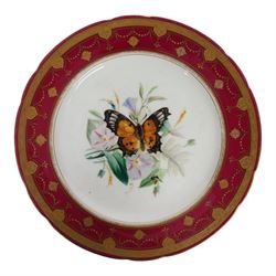 19th century Minton dessert plates, five decorated with a central ornithological study and four decorated with butterflied, each with within a red  and gilt board