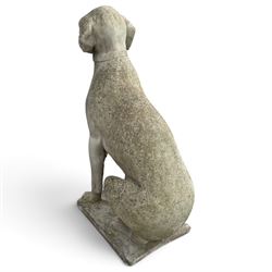 Weathered cast stone garden statue modelled as a seated pointer dog wearing a collar