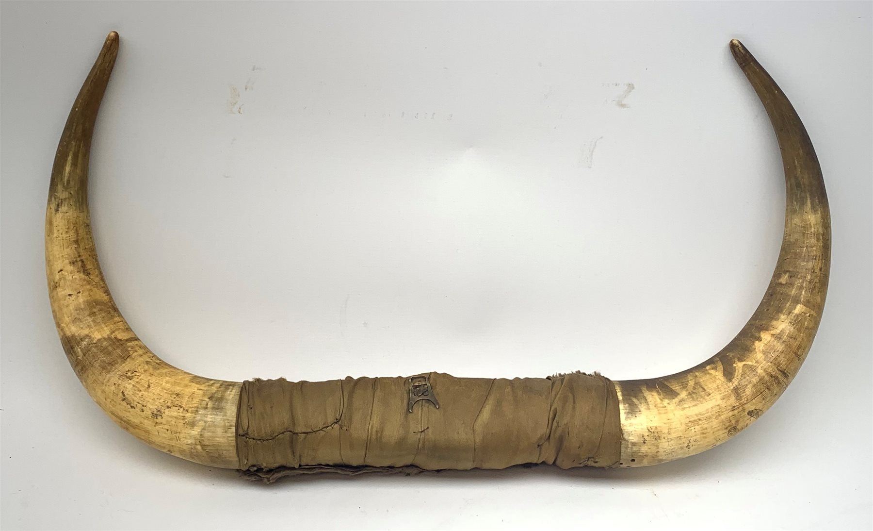 Pair of Scrimshaw decorated Cow Horns, engraved with figures and flowers, L76cm 