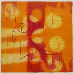 Heidi Konig (British 1964-): 'Apricot Ye