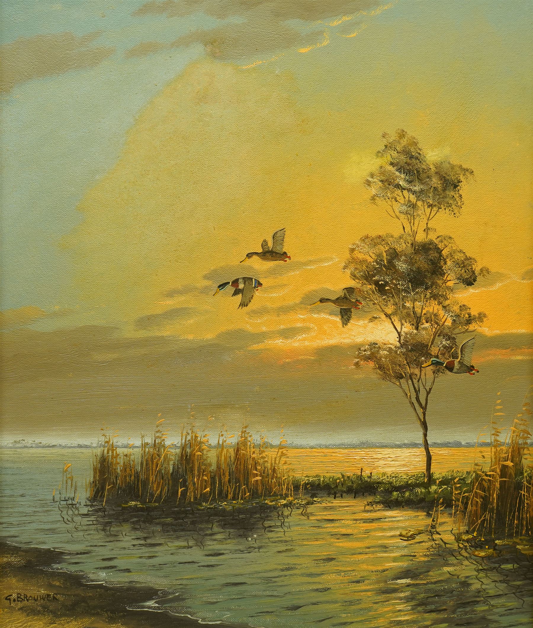 G Van de Velde AKA Gien Brouwer (Dutch 1944-): Ducks in Flight, oil on canvas signed 50cm x 39cm