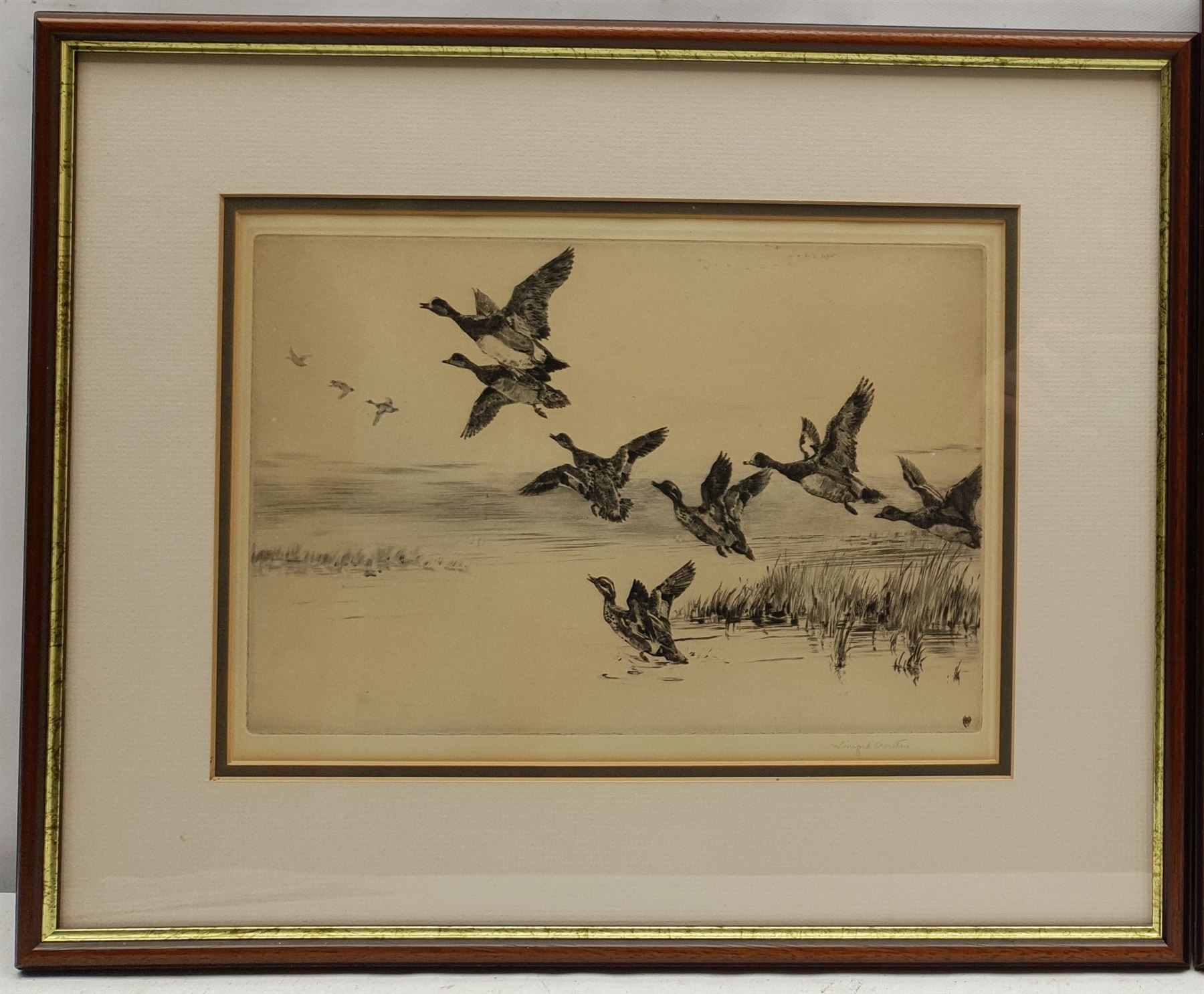 Winifred Maria Louise Austen (British 1876-1964): Mallards in Flight, drypoint etching signed in pencil 22cm x 30cm