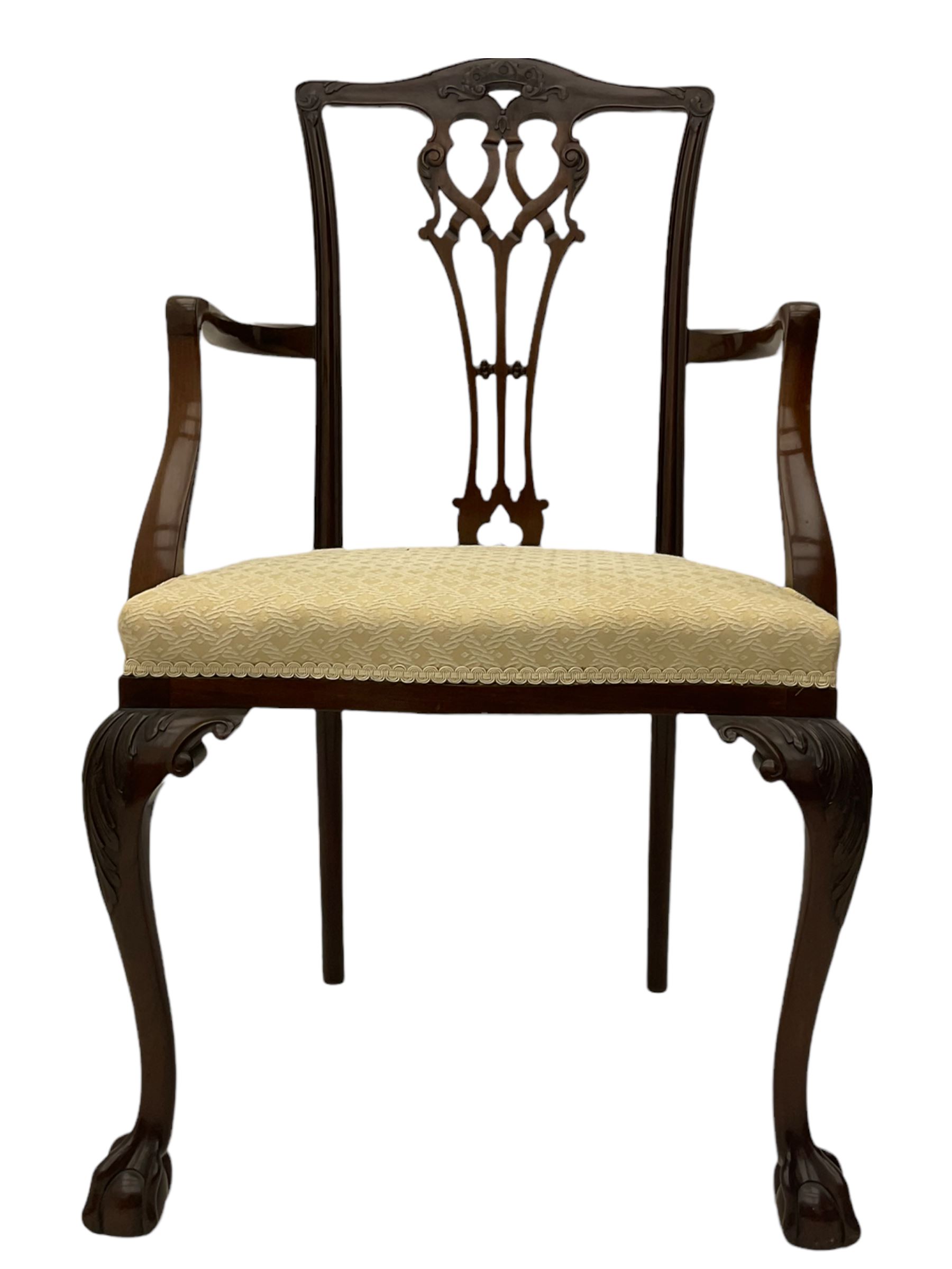 Chippendale design mahogany framed armchair, ball and claw feet, upholstered seat