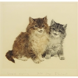  Portraits of Cats and Kittens, two etchings signed by Kurt Meyer-Eberhardt (German 1895-1977) 32cm x 40cm and 27.5cm x 29cm mounted, unframed (2)  