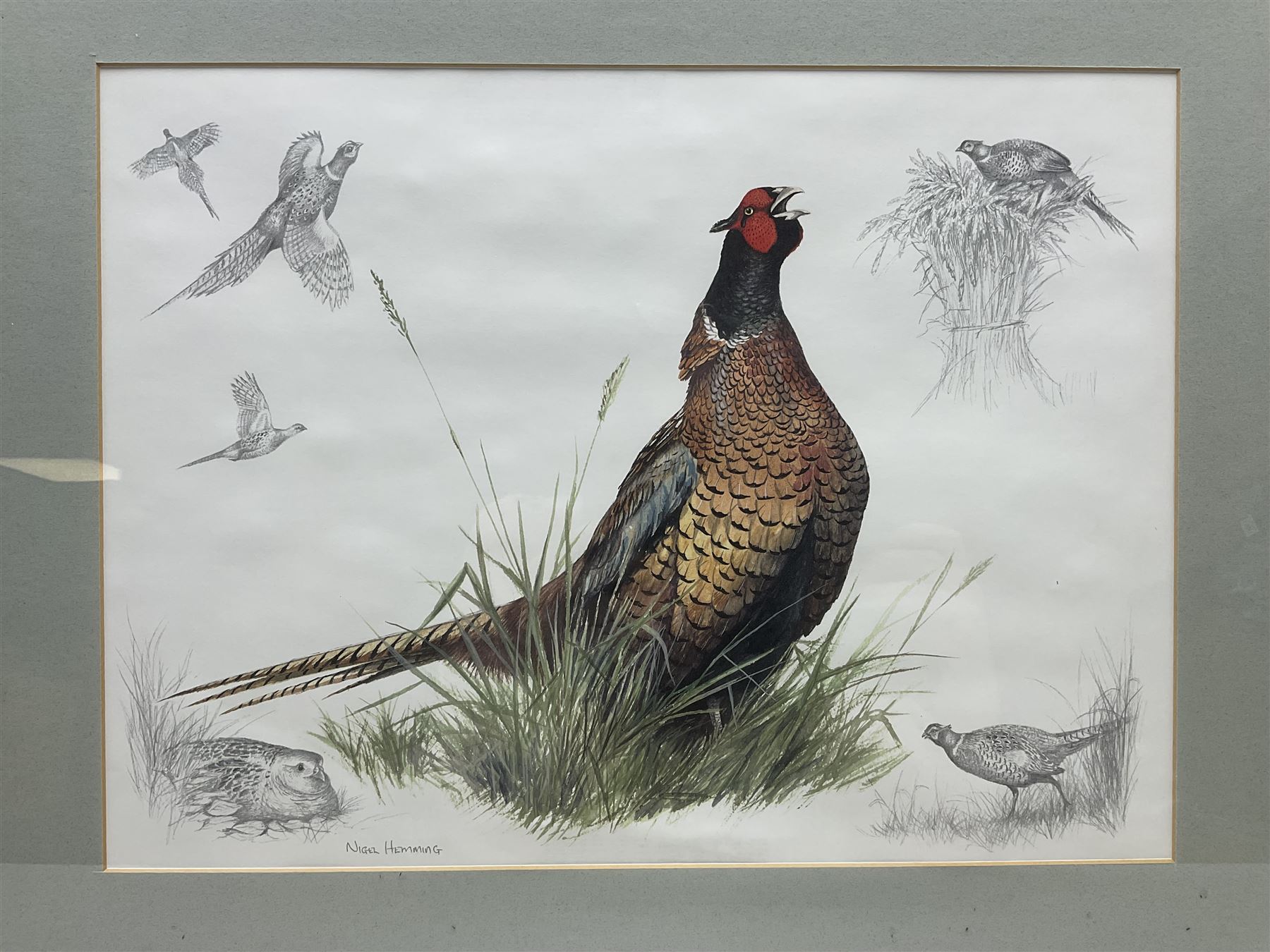 After Alan Ellison, limited edition colour print 'Working Springers' no.178/750 signed on the mount 43 x 59cm; and seven colour prints after Nigel Hemming of game birds and gun dogs; all framed (8)