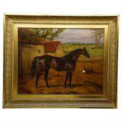 Harry Hall (British 1815-1882): 'Adventurer' a Dark Bay Racehorse Standing in a Farmyard, oil on canvas signed and dated 1882, 70cm x 90cm
Notes: Adventurer was one of Newminster's sons and a well respected racehorse in the late 19th century; after retirement he became a successful stallion himself.