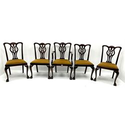Set five (4+1) Georgian style mahogany framed dining chairs, upholstered drop in seats, cabriole legs on ball and claw feet