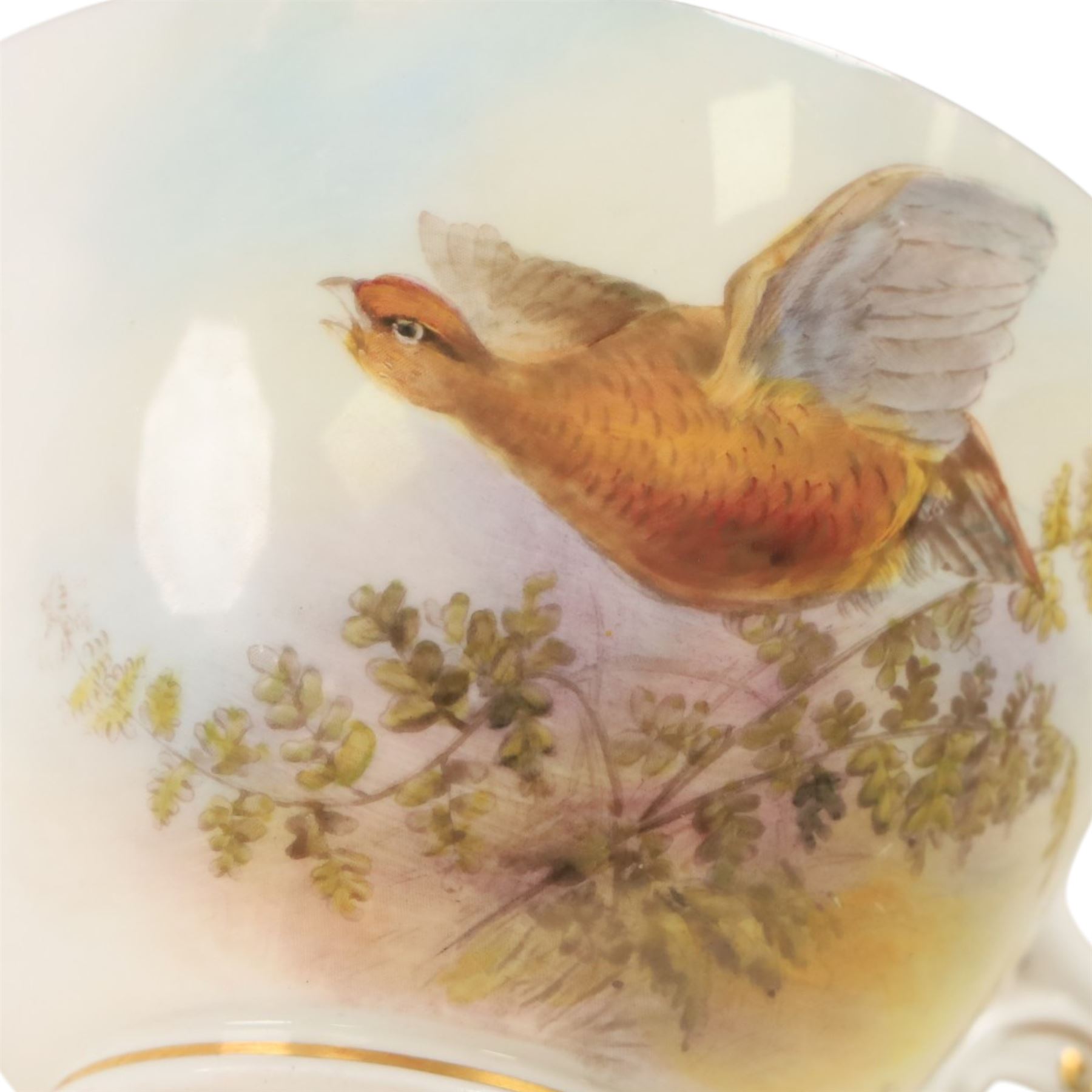 Royal Worcester large novelty cup and saucer, each hand pained, the cup with grouse, the saucer with stonechat