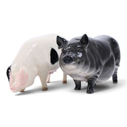 Two Beswick and three Royal Doulton pigs, including Ch Wall Champion pig, Vietnamese Pot Bellied pig, Gloucester Old Spot etc  