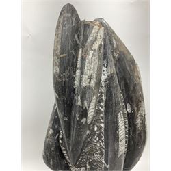 Orthoceras fossil tower, age: Devonian period, H52cm