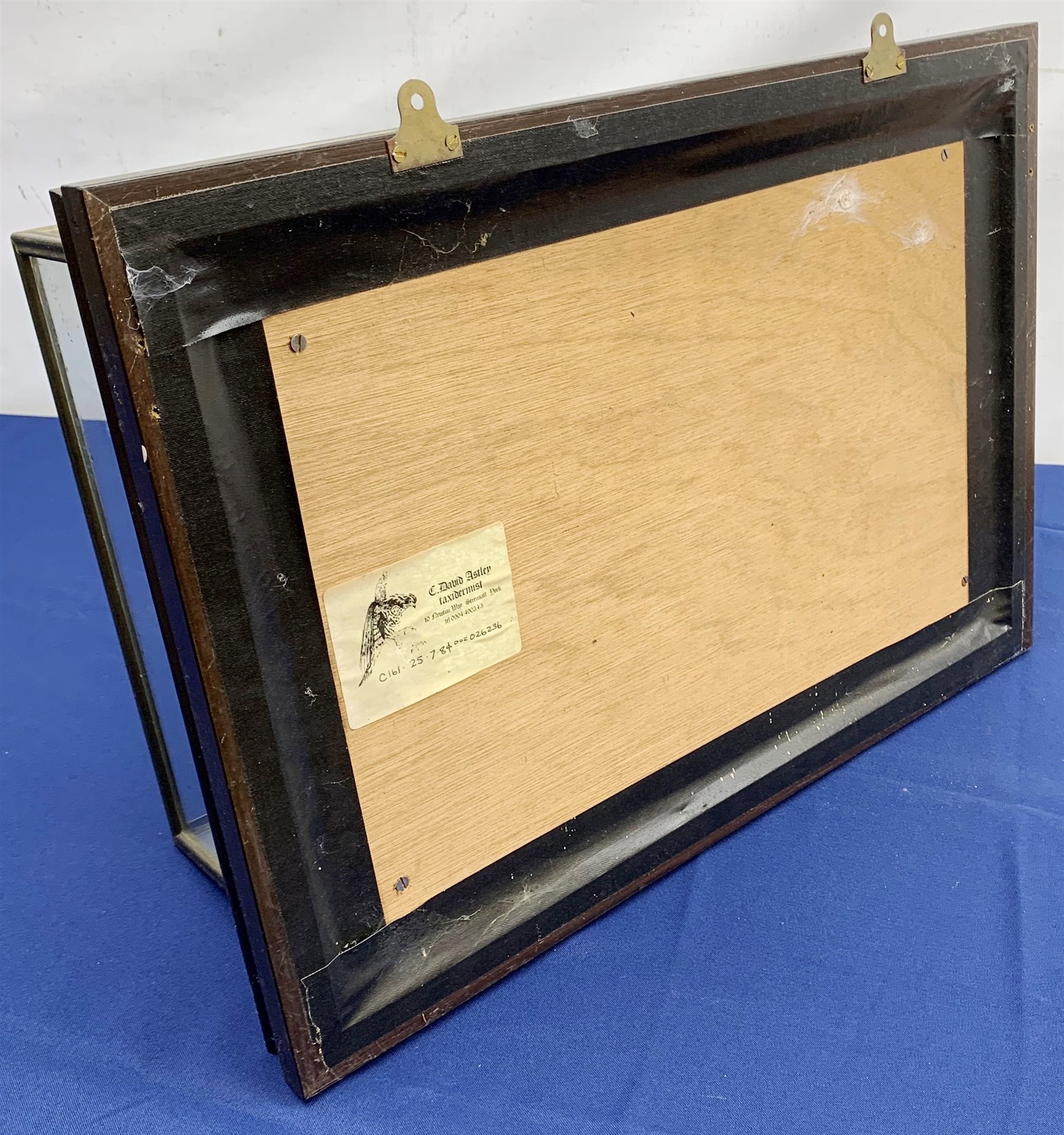 Taxidermy: 20th century cased Cuckoo (Cuculus canorus), looking over a birds nest containing faux eggs, set against a naturalistic backdrop detailed with roots, moss and grass, enclosed within a five pane display case upon frame mount, with taxidermist paper label verso detailed David Astley Taxidermist, H32cm L47cm D19cm 