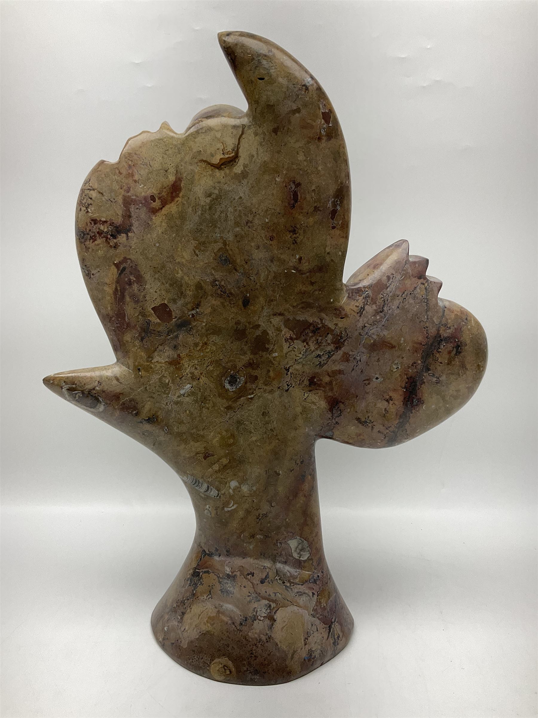 Goniatite sculpture, displaying two Goniatites within a polished and shaped matrix, age; Devonian period, H56cm