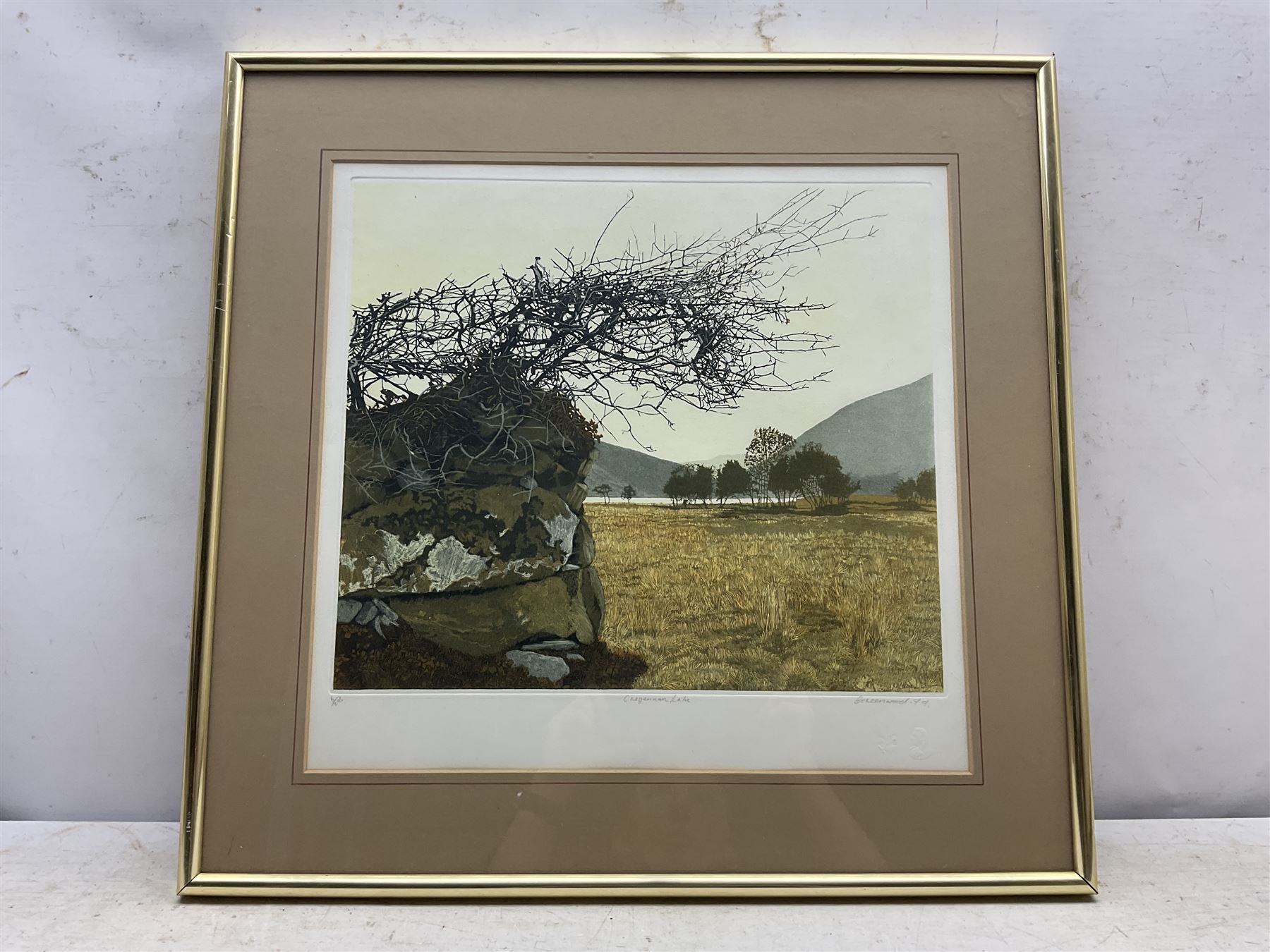 Philip Greenwood (Welsh 1943-): 'Cregennan Lake', artist's proof aquatint signed titled and numbered 5/295 in pencil 36cm x 41cm 