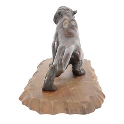 Japanese Meiji period bronze, modelled as a crouching tiger, its head raised in a roar, with glossy stripes and naturalistic mane, with seal mark for Mitsumoto saku, upon a carved softwood stand, bronze H20.5cm L46cm
