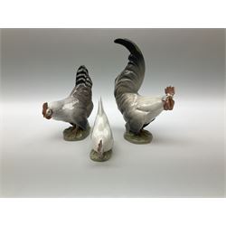 Eight Royal Copenhagen figures, cockerel 1025, hen 1024, group of two geese 609, robin 2266, squirrel 982, cockerel 1127, goose 1088 and owl 1741.  