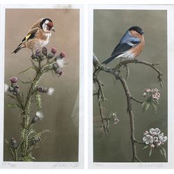 Robert E Fuller (British 1972-): 'Goldfinch on Thistle' and 'Bullfinch On Blossom', pair limited edition colour prints signed and numbered 432/850 and 196/850, respectively, 17cm x 33cm (2)