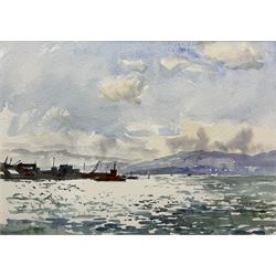 Christine M Pybus (British 1954-): 'Wellington', watercolour signed titled and dated March 2017, 22cm x 31cm