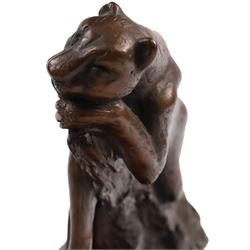 Bronze modelled as a cougar on a branch upon a rectangular wooden plinth, H24cm