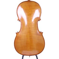 19th century cello, with two piece back, ebonised finger board and pegs, contained within Hiscox Lifelite case, cello back length 76cm