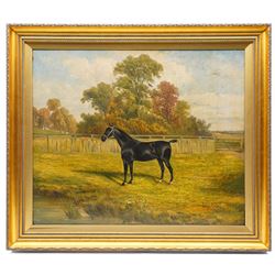Albert James Clark (British 1858-1943): Portrait of a Black Horse with Docked Tail, oil on canvas signed and inscribed '67 Riversdale Rd - Highbury London N' 50cm x 60cm