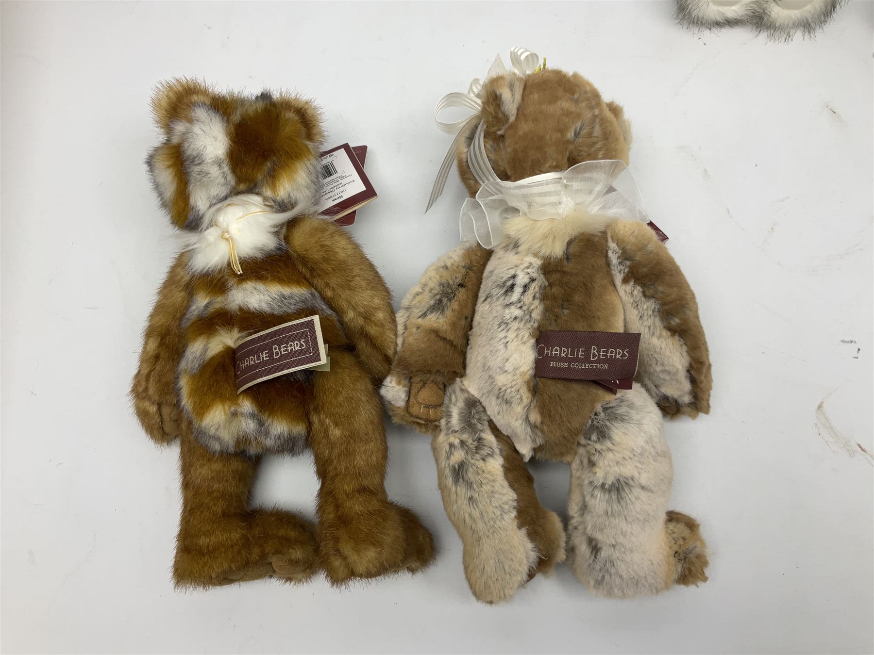Eight Charlie Bears, comprising limited edition example Nina CB171785A, designed by Isabelle Lee, limited to 3000, Nyah CB191931A, designed by Isabelle Lee, Molly CB110310B, designed by Heather Lyell, Mooch CB206025O, and Gallivant CB195197O, each with tags, plus three lacking tags, CB165133, and two small unnamed examples
