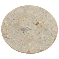 Pair of polished ammonite plate, formed of individual ammonites age; Jurassic period, D17cm