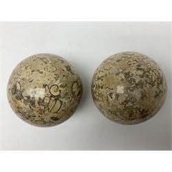 Pair of fossilised coral spheres, D12cm